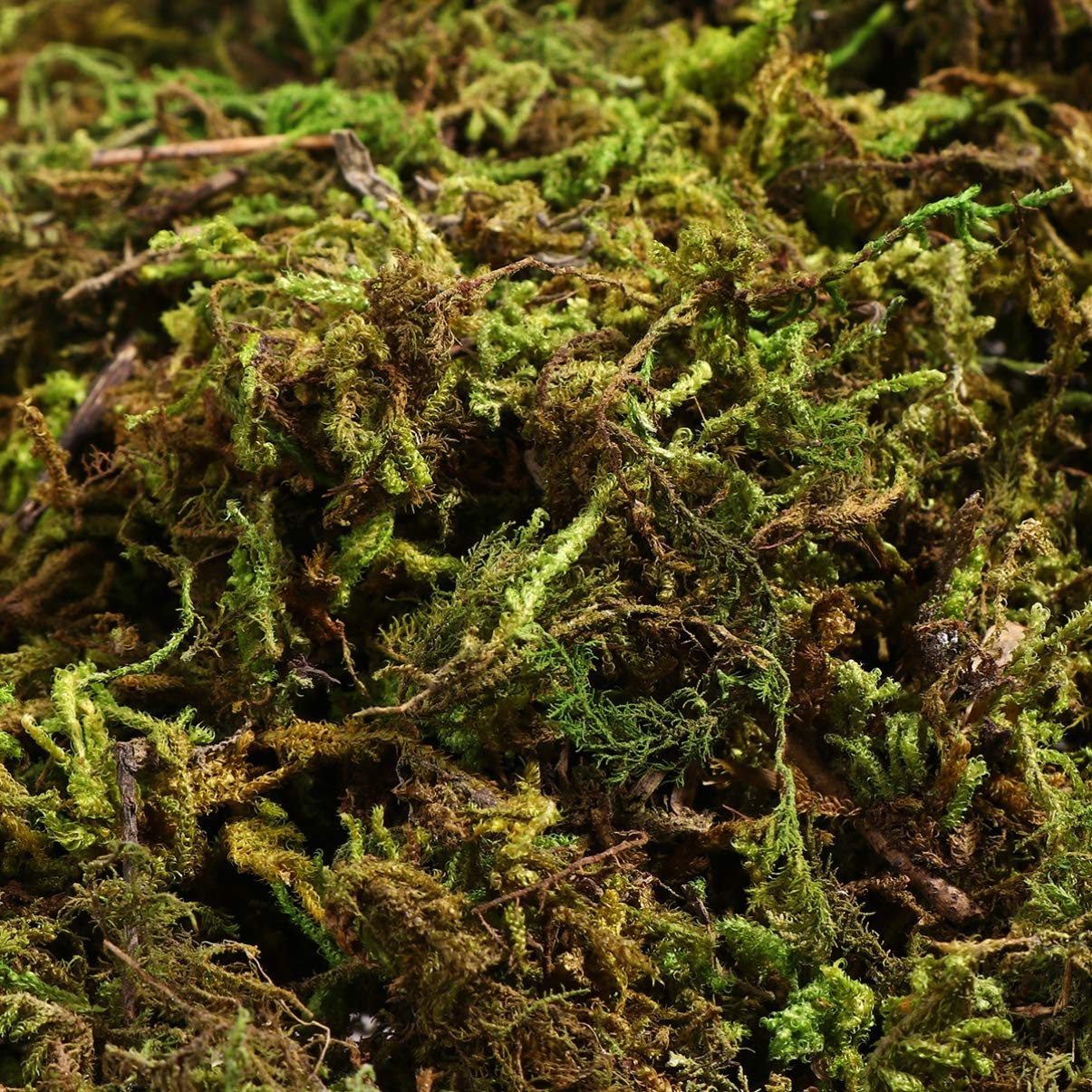 1 Pack Artificial Moss Fake Lichen Simulation Green Faux Pot DIY Decor 60g