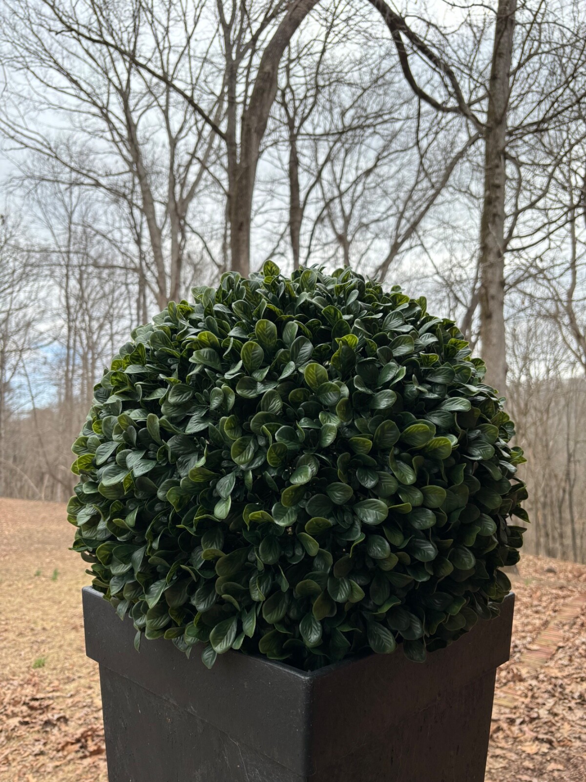 Wildwood & Cypress Artificial Boxwood Topiary Ball, The Dax, 21 in, UV Rated