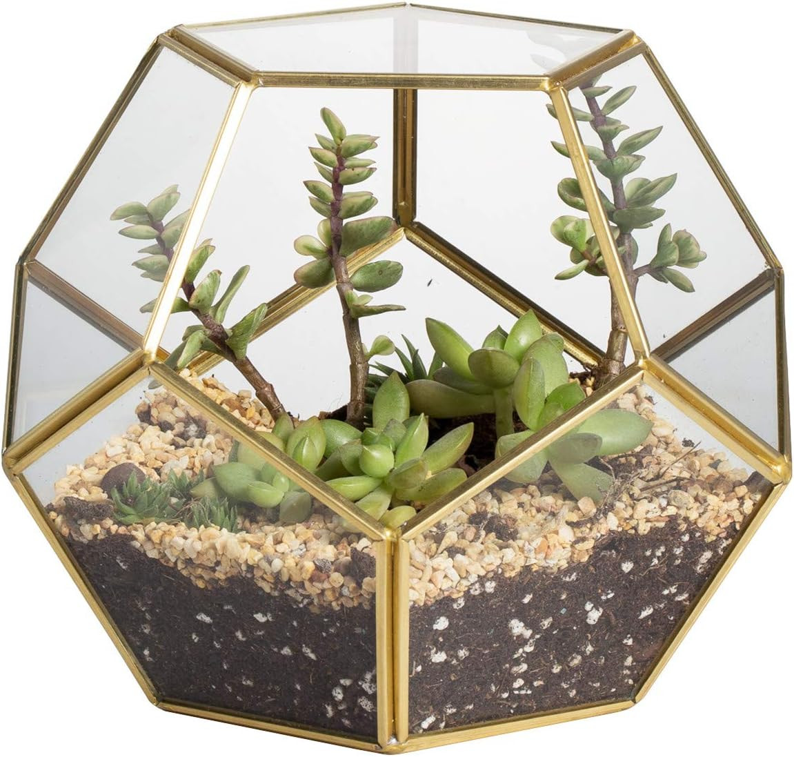 No Door Glass Terrarium for Small Cactus, Succulents – Gold Geometric Terrarium