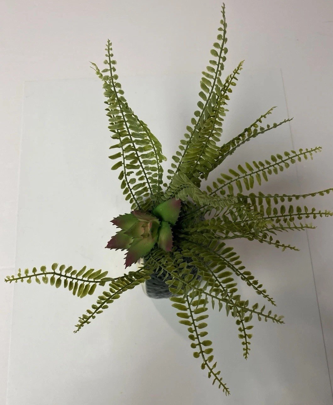 New Ceramic 13”H Ashland Avacado Fruit Shaped Vase With Floral /Fern Arrangement