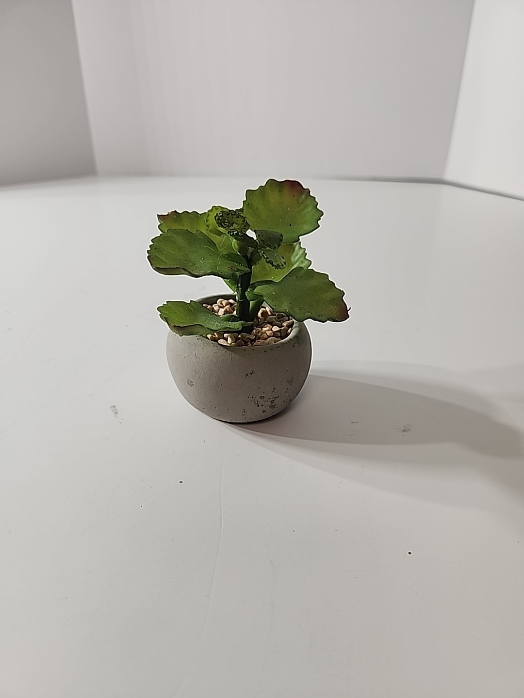 Tiny Articifial House Plant. 4 Inches Tall. Concrete Style Pot.