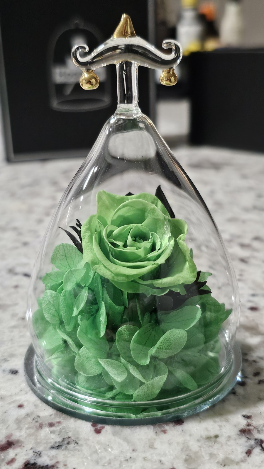 Hoomna Zodiac Green Forever Rose Gift Preserved Real Rose Libra Gift For Her