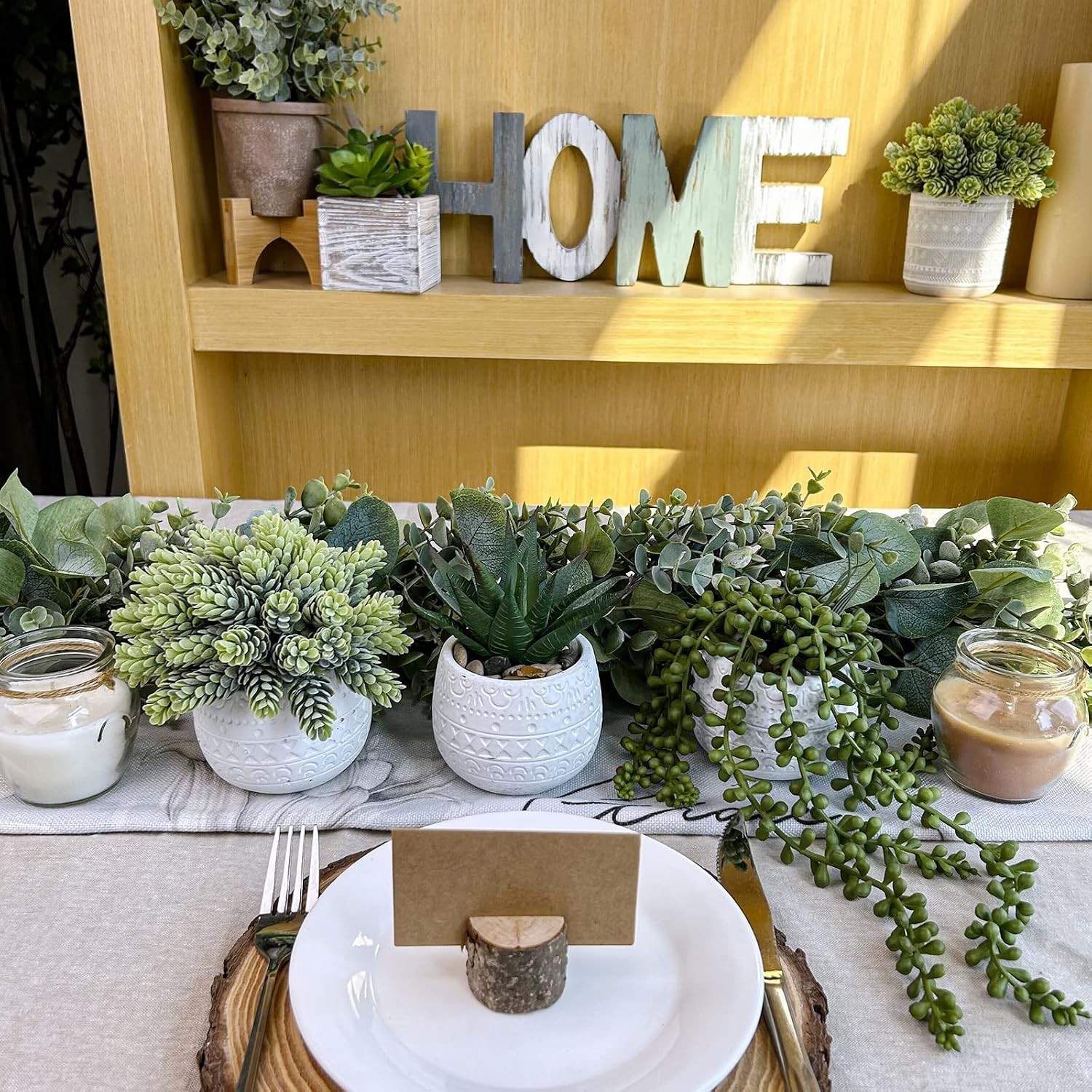 Elegant Succulent Trio in Geometric Ceramic Pots – Perfect for All Occasions