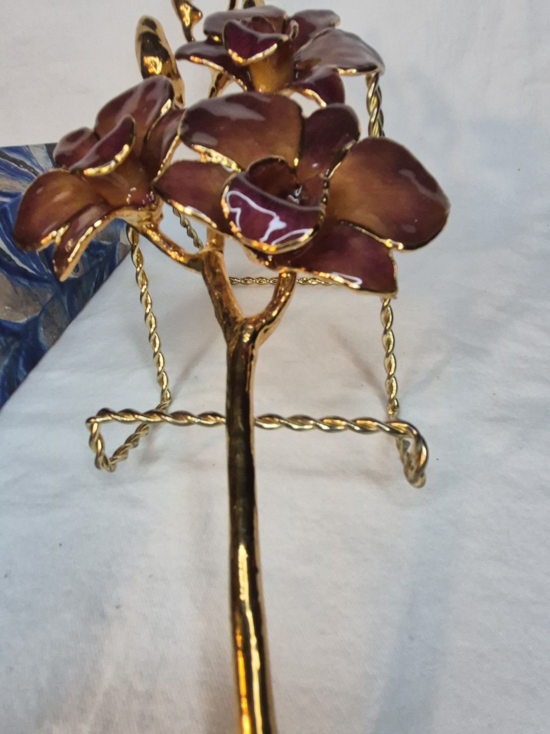 The Rose Lady 24Kt Gold Dipped Long Stem REAL Dendrobium Orchid NIB