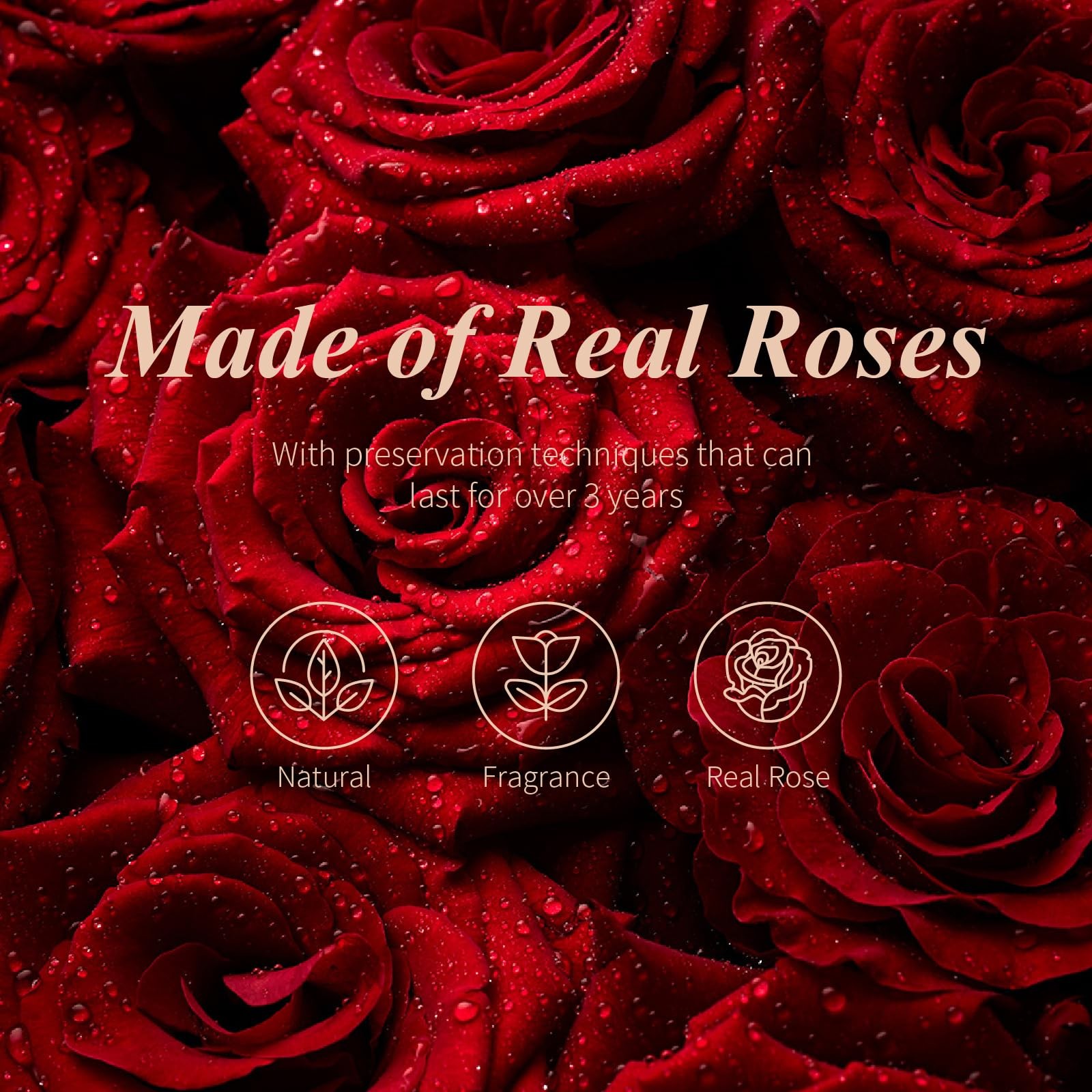 Preserved Rose in Glass Dome, Medium Forever Forever Gift, Flowers for Delive…