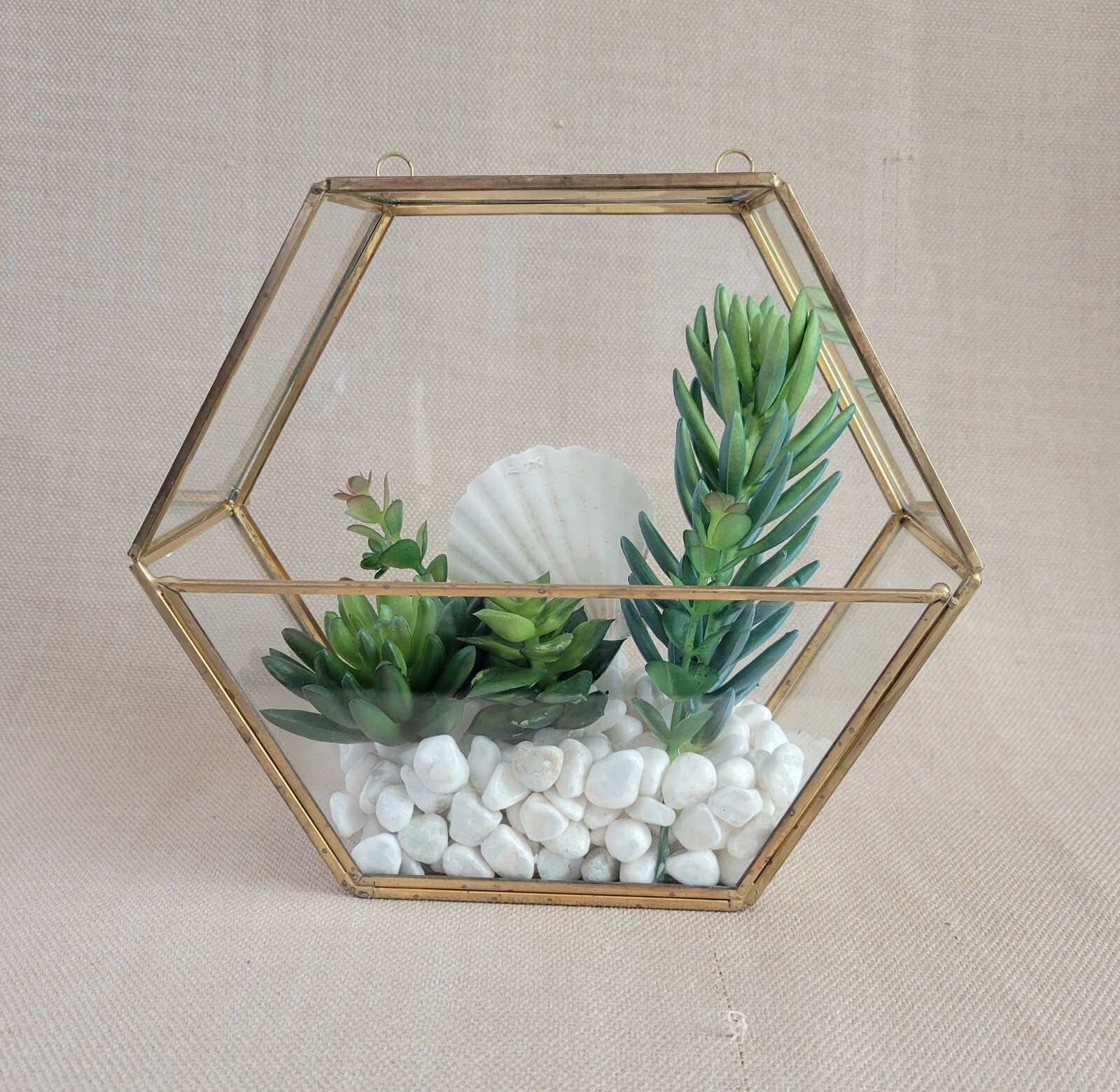 Plant Terrarium Geometric Gold Edge Planter Artificial Succulent Open Side Glass