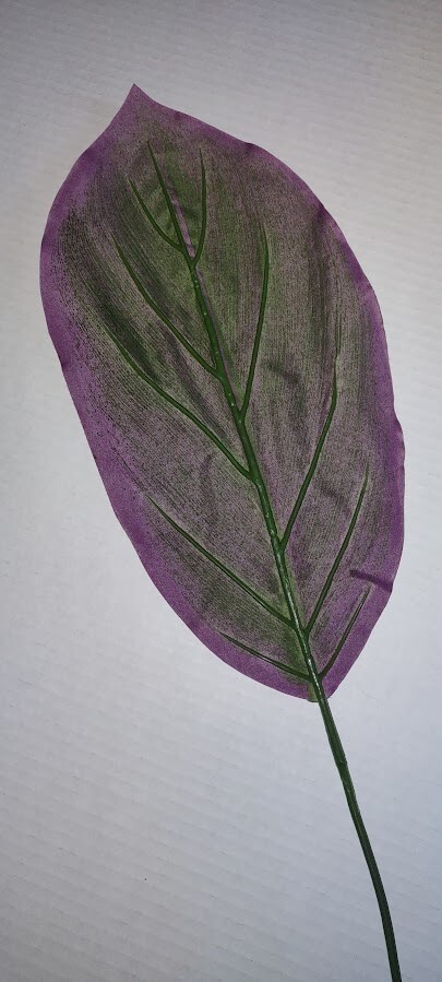 Wide cordyline leaves