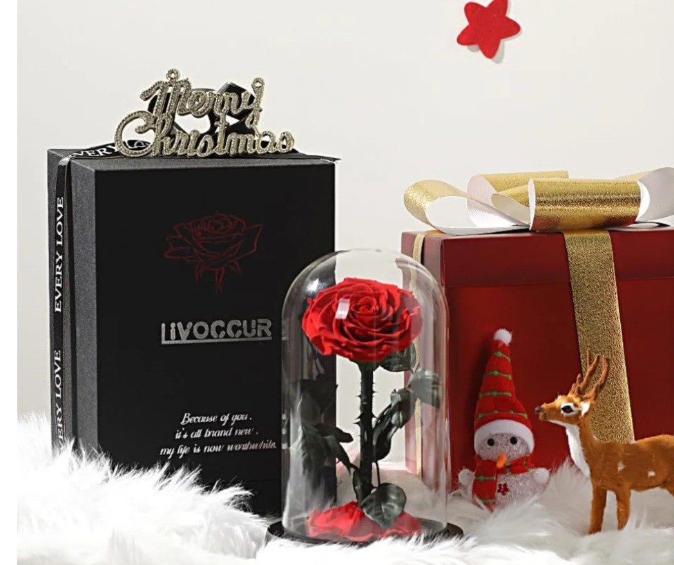 Livoccur Preserved RED ROSE in Glass DOME 4.7″×4.7″×7.5″ Stand