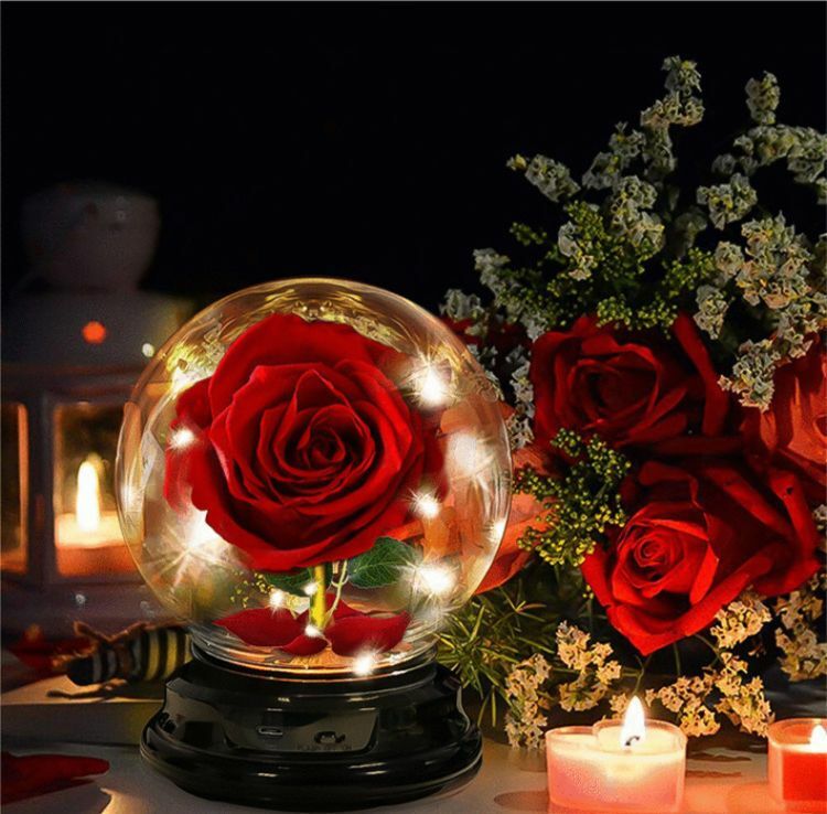 Flower Rose Preserved In Glass Mothers Day Birthday Gift Womens Girls Home Decor