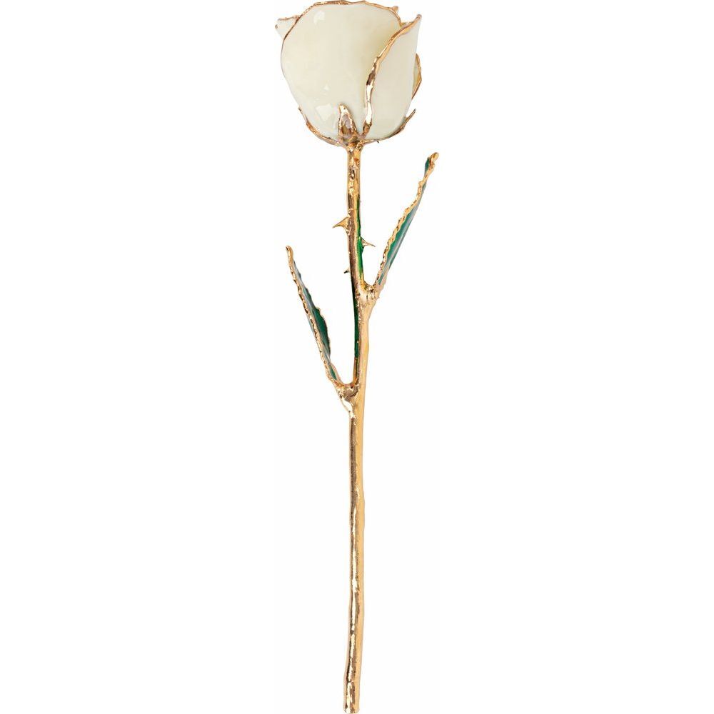 24k Gold Dipped White Lacquer Real Rose Valentine’s Day Holiday Gift