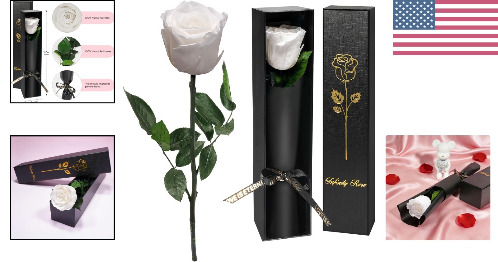 Single Elegant Preserved Rose – Timeless Gift for Her Birthday or Mother’s Day