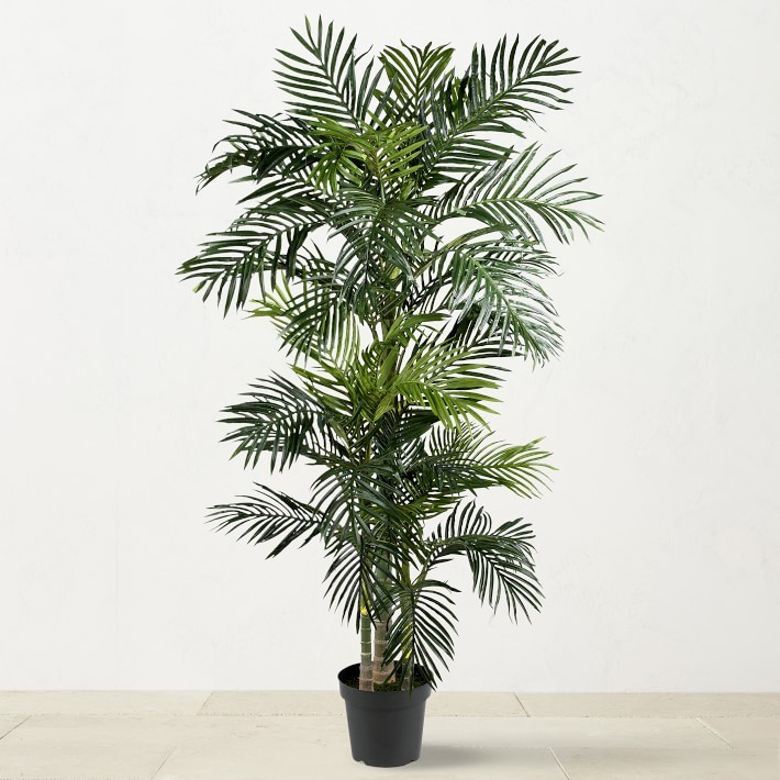 Faux Indoor Golden Cane Silk Palm Tree, 78″-Williams Sonoma|34060