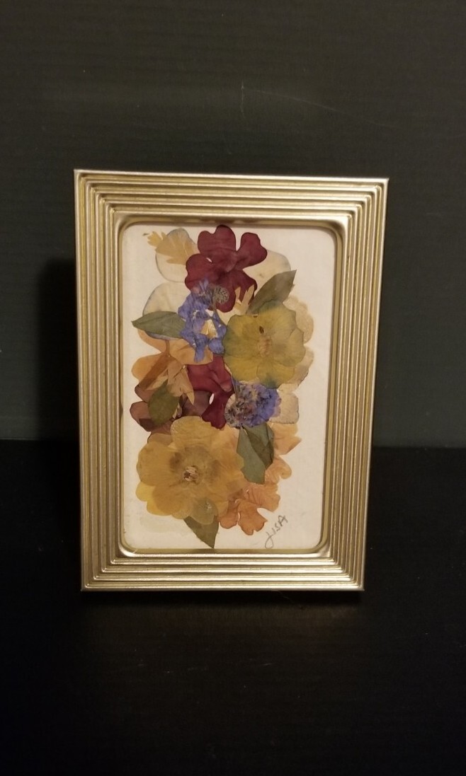 Small 2 3/8″ X 3 3/8″ Press Dried Flower 1 Burgandy Yellow green Framed FF25