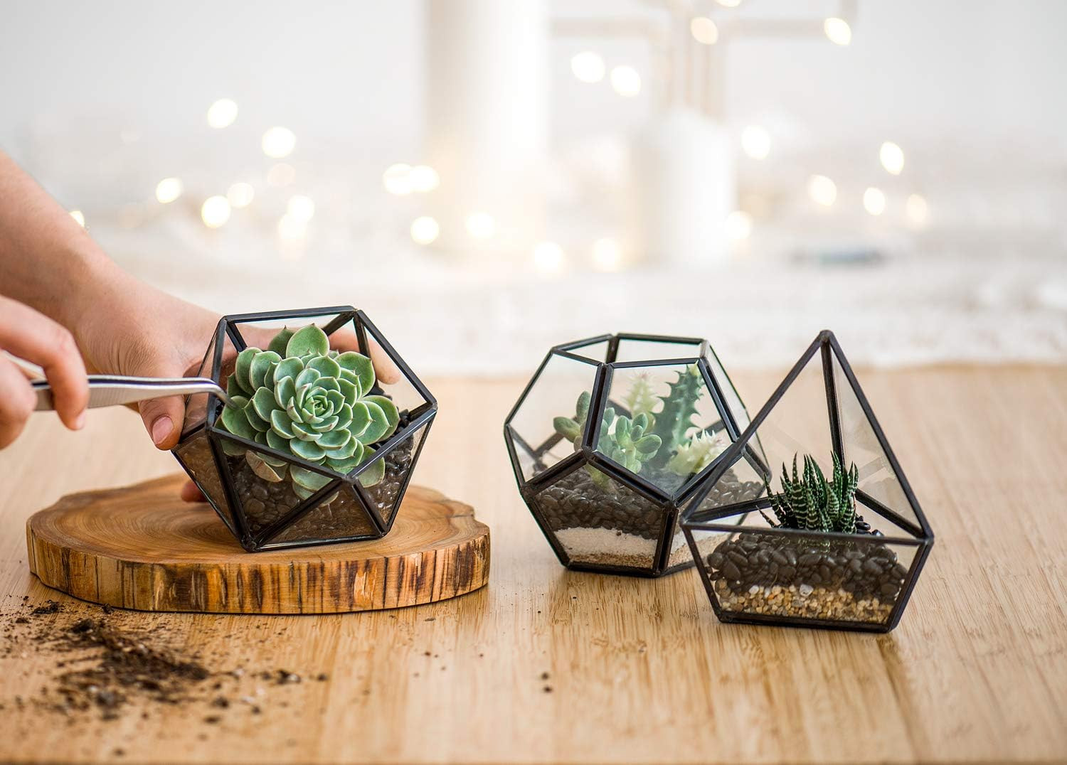 Artificial Succulent in 3 Pack Mini Glass Geometric Terrarium, Miniature Potted