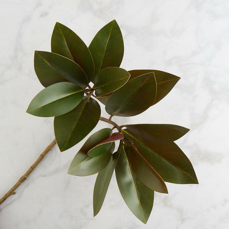 Factory Direct Craft Artificial Magnolia Leaf Spray | for Indoor Decor | 26