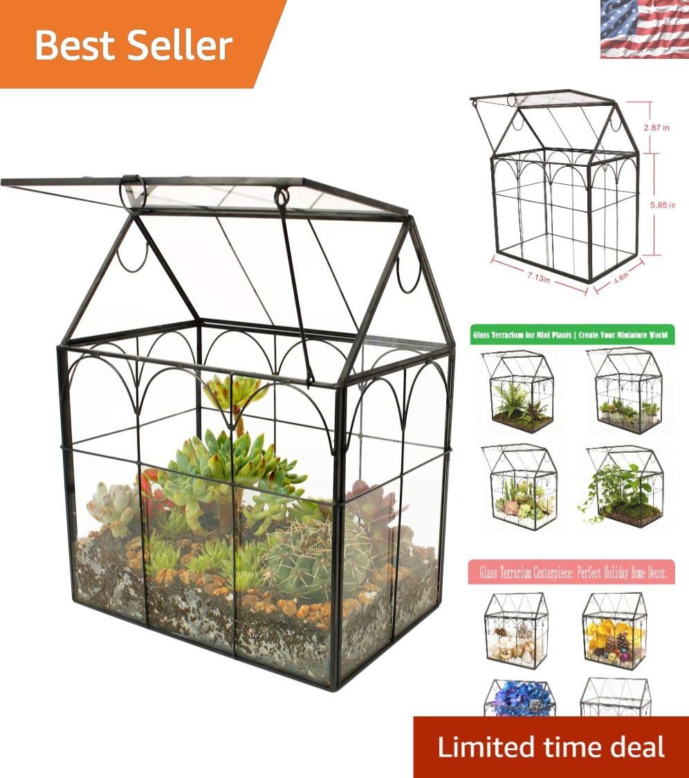 Lightweight Hinged Roof Glass Terrarium – Unique Irregular Design for Indoor Use