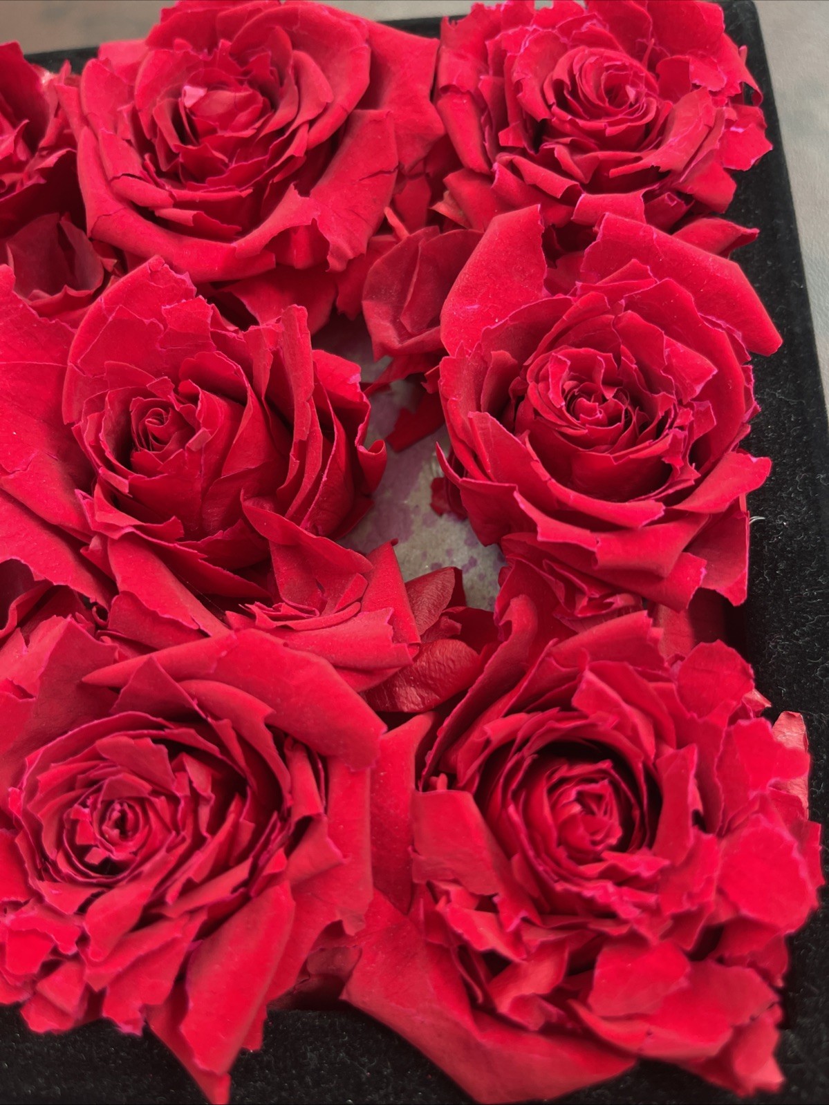 Rose Forever New York 9 Red Roses Black Velvet Square Flower Box Display Decor