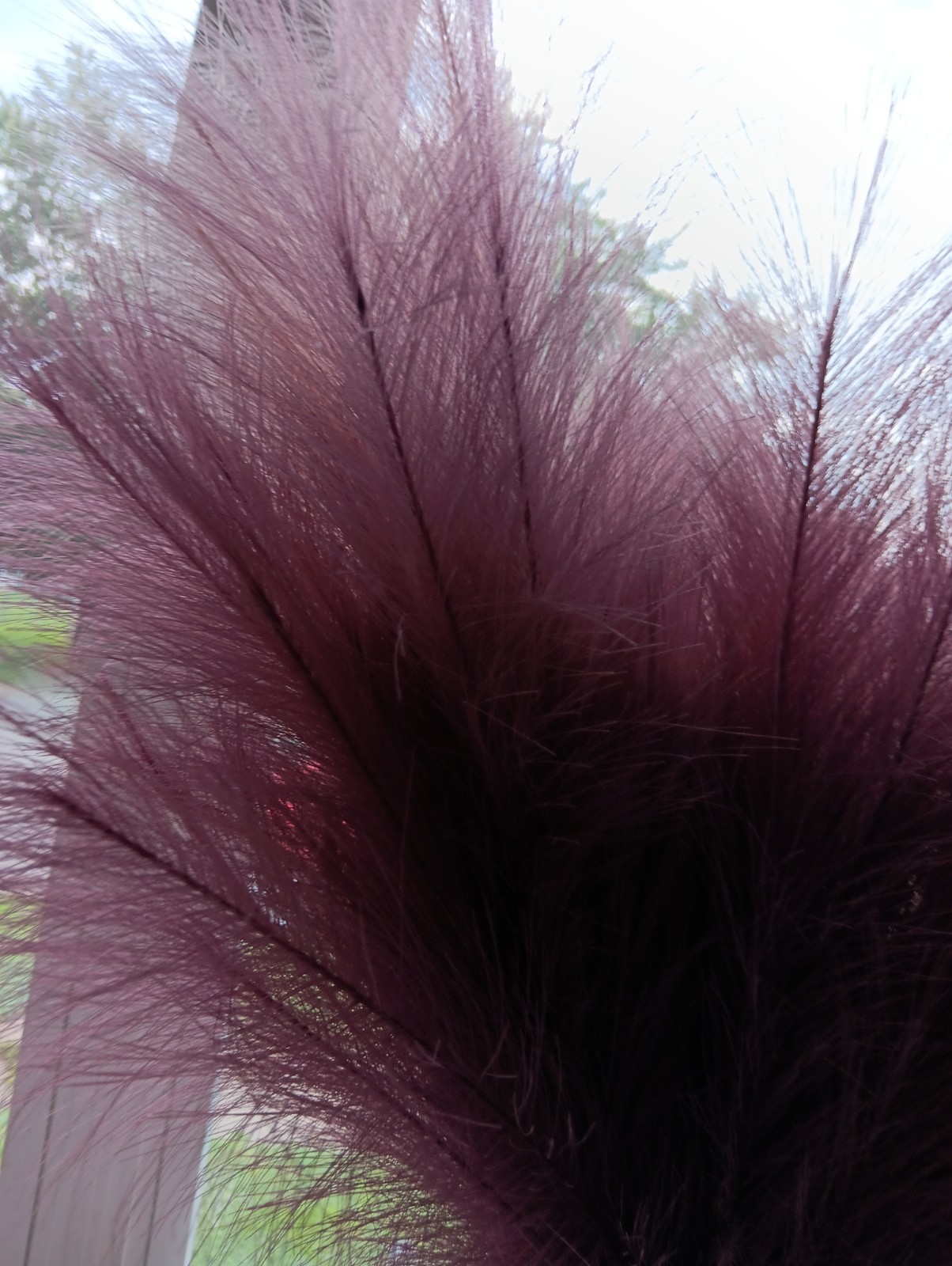 Faux Pampas Plumes Pink, White 40″ Tallest, Various Heights 7 Stems Clean, Well