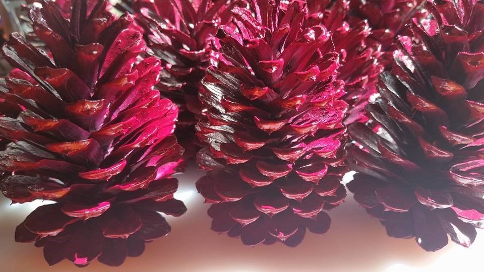12 Magenta Pine Cones Hand Painted All Natural Premium Cones One Dozen Painted P