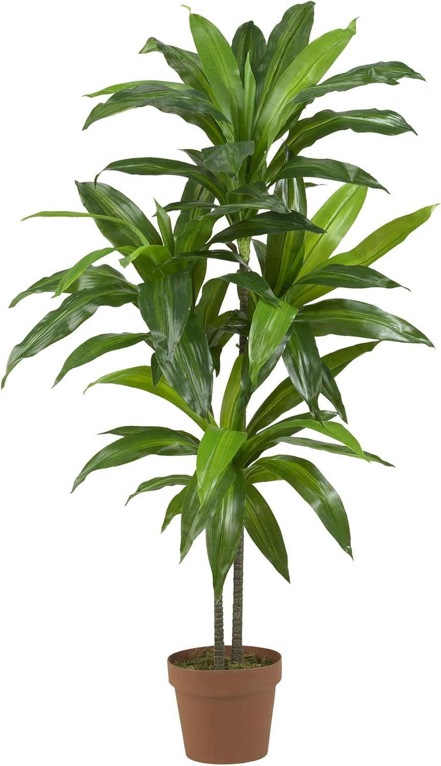 Real Touch Dracaena & Sansevieria Silk Plants with Black Planter – 43In & 35In