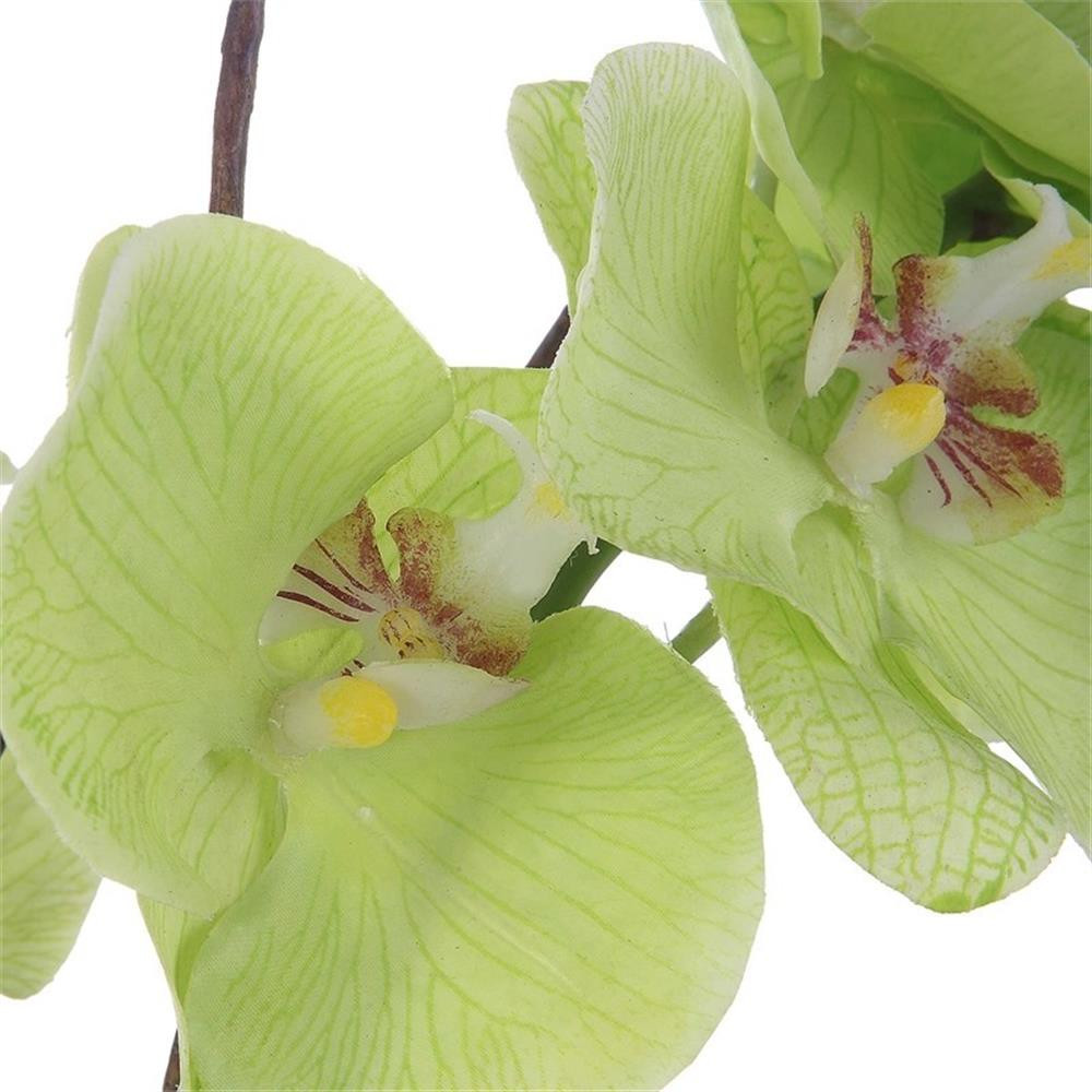 Maklaine Contemporary Polyester Polyfoam and Plastic Orchid in Green