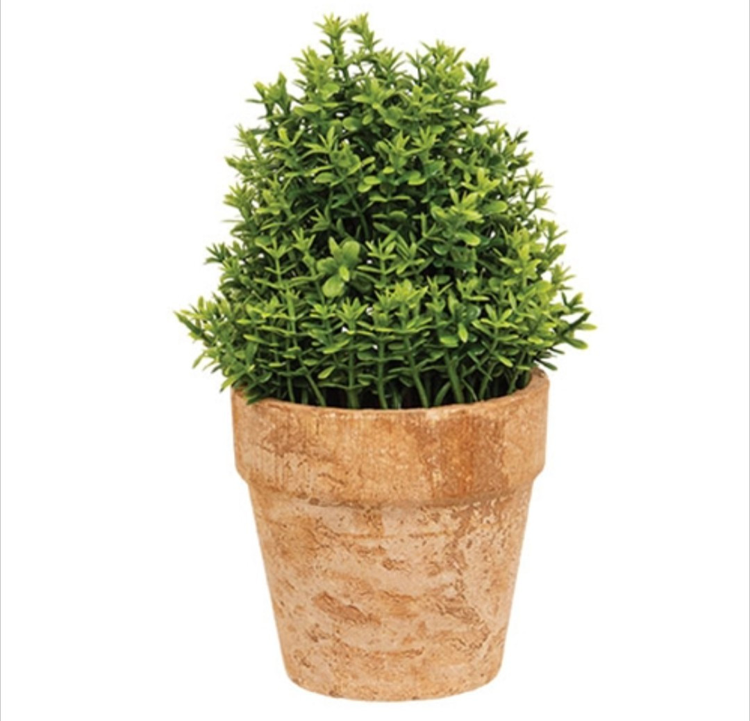 6-1/2″ Potted Artificial Mini Boxwood Table Top Planter
