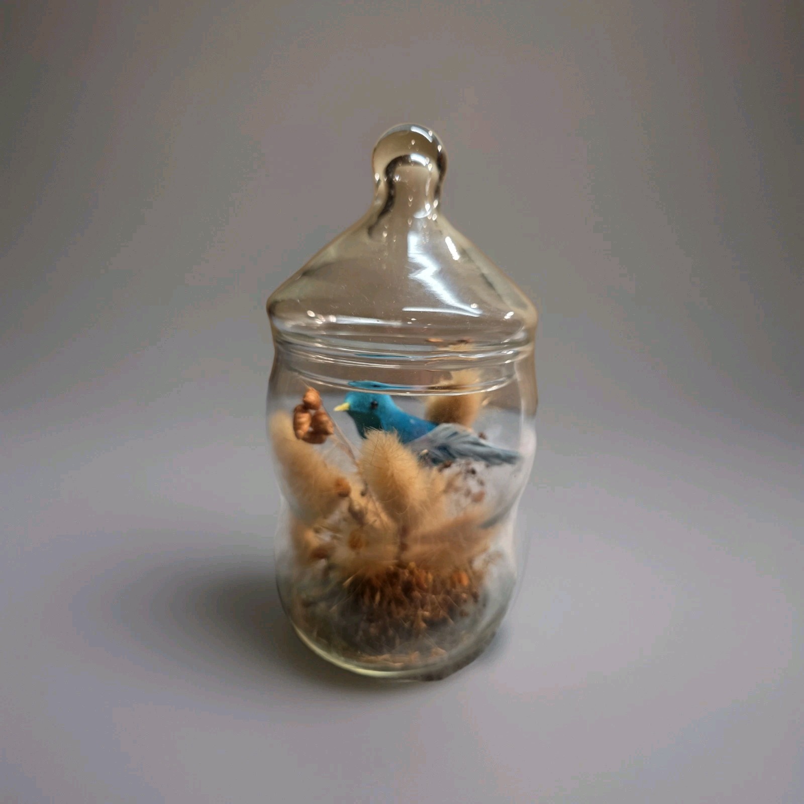 VTG Apothecary Jar Dried Floral Terrarium with Blue Bird