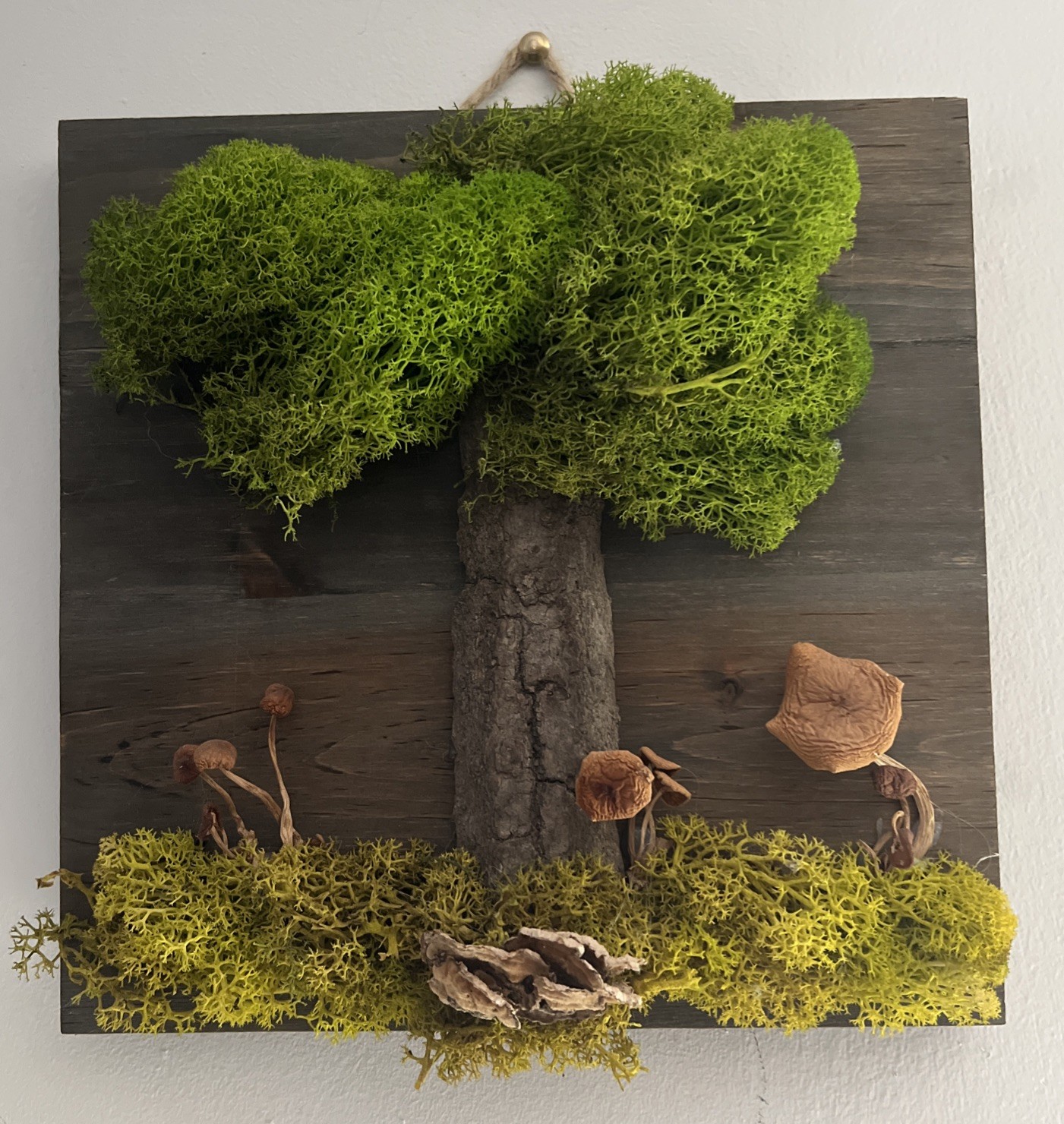 Natural Moss Handmade Art – Wood Wall Plaque Hanging Decor Real Dried Mushrooms