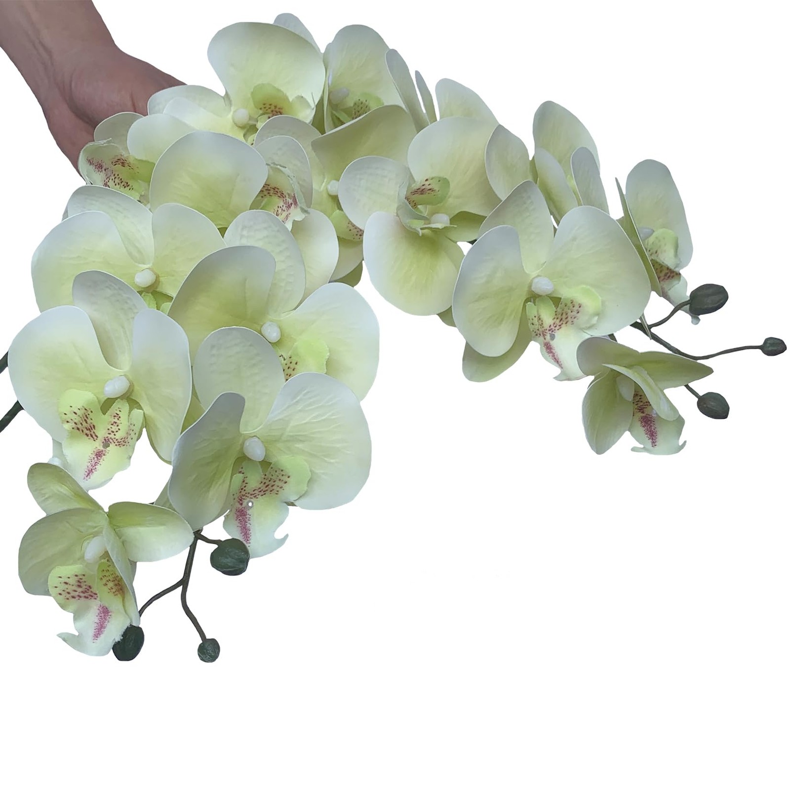 32 Inch Artificial Phalaenopsis Flowers 6 Pcs Artificial Orchid Flowers Stem …