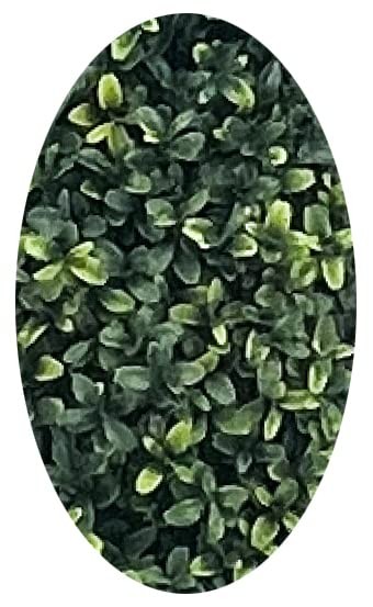 Two Artificial UV Rated 30/ inch Boxwood Cone Topiary w/Pot, Indoor Outdoor T…