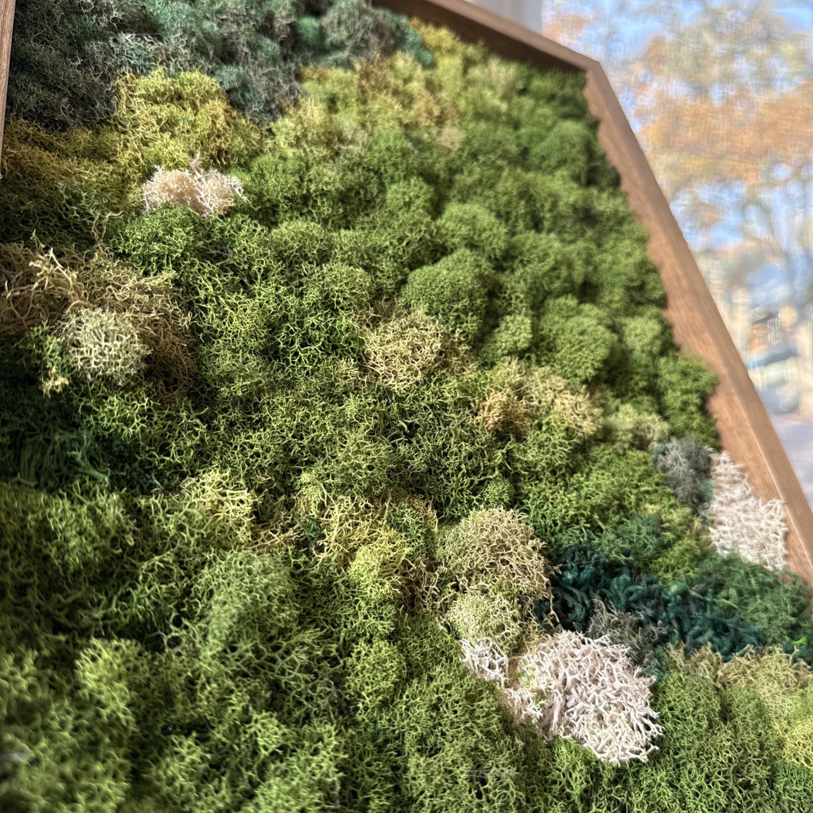 Preserved Moss Wall Art, Handmade, Wood Framed