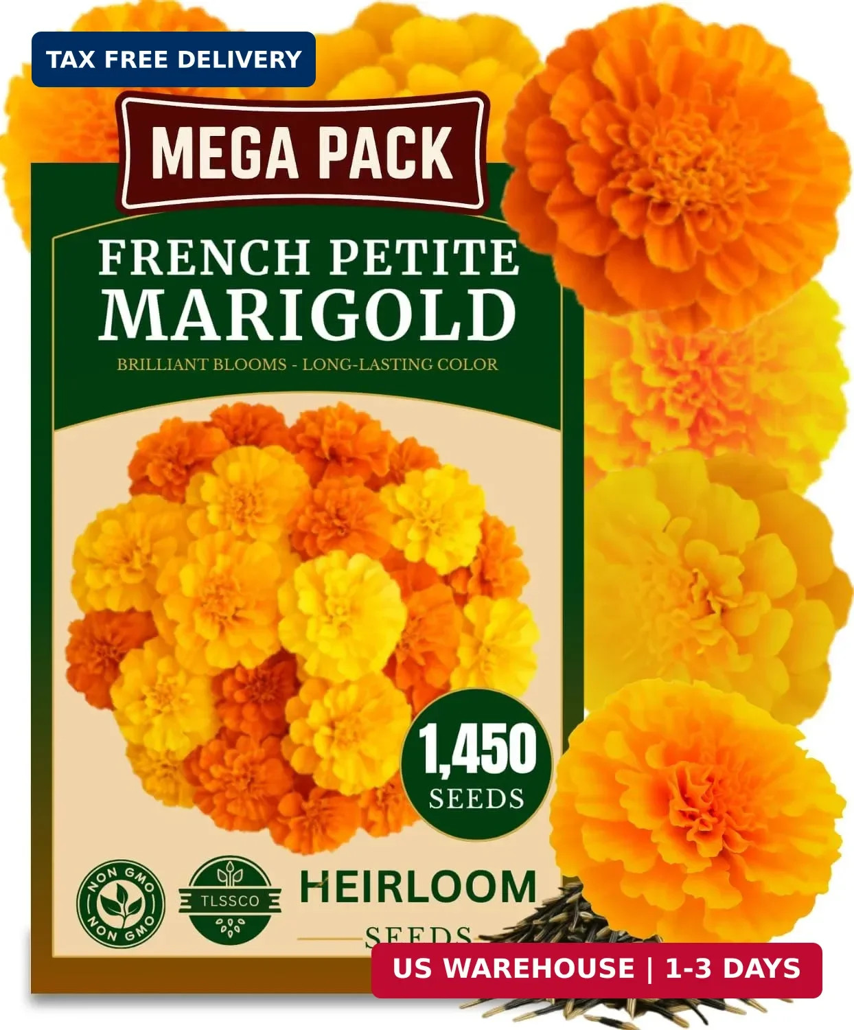1450+ French Petite Marigold Seeds, Pack for 2026 USA Premium Multi