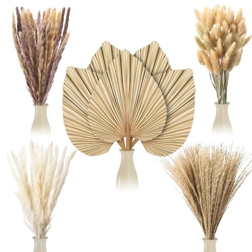 Pcs Boho Dried Pampas Grass Decor Bulk | Large Dried Palm Spears Bunny 105