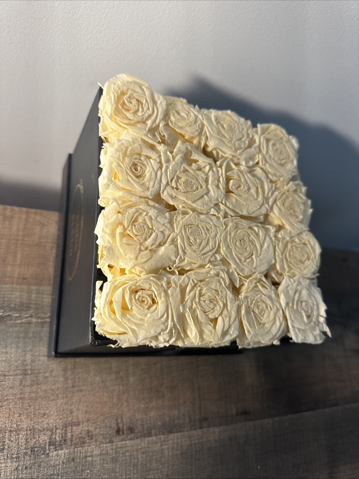 Venus et fleur Small Squire Blush Roses