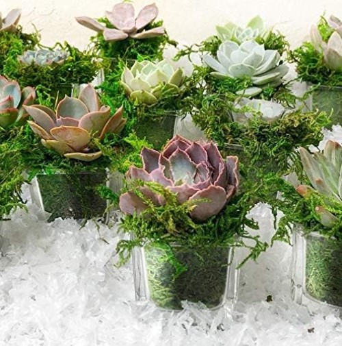 225g Compressed Faux Moss in Fresh Green – Ideal for Centerpieces & Crafts