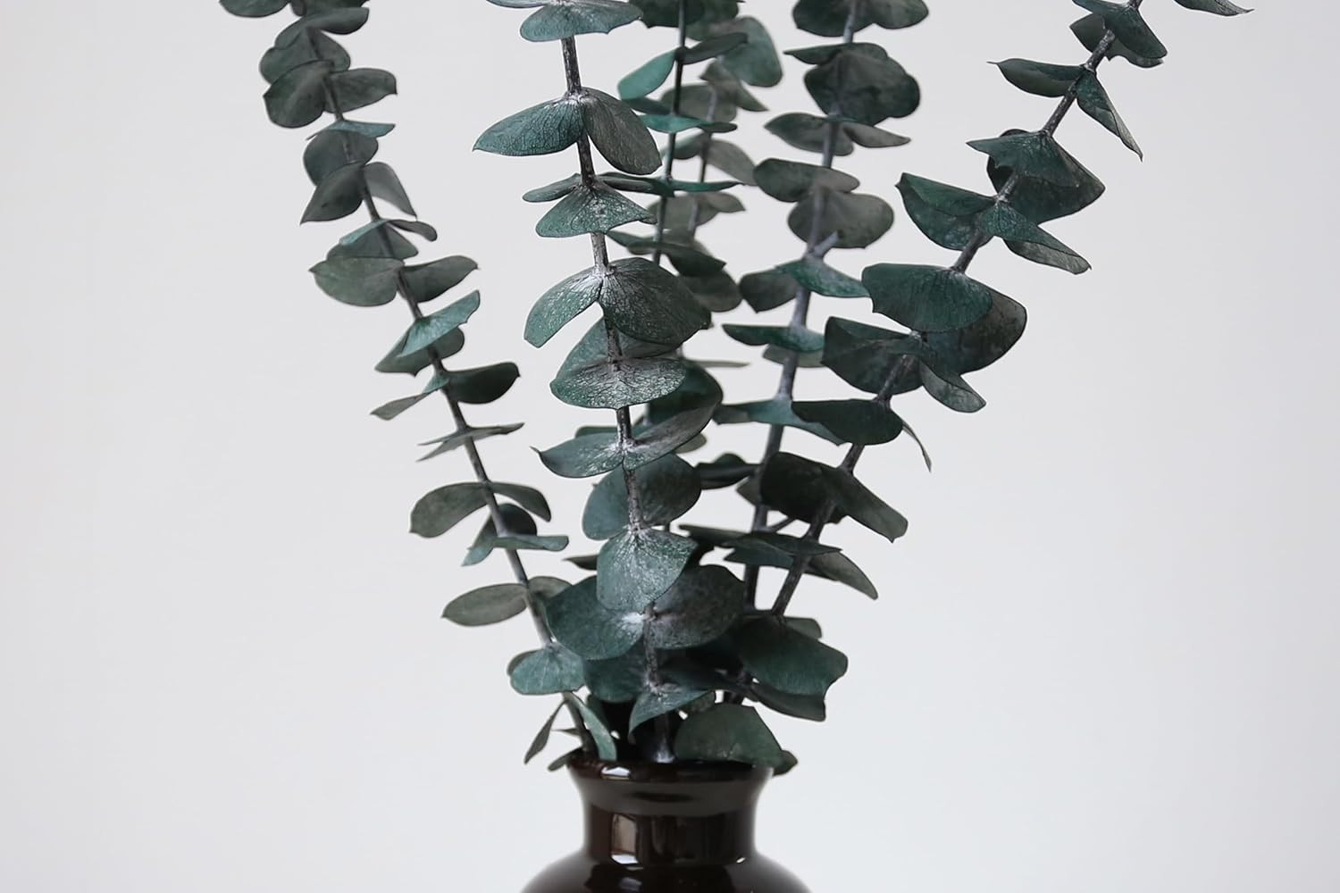 10 PCS Dried Eucalyptus Stems for Shower Bathroom Decor 15-16″ Real Leaves Branc