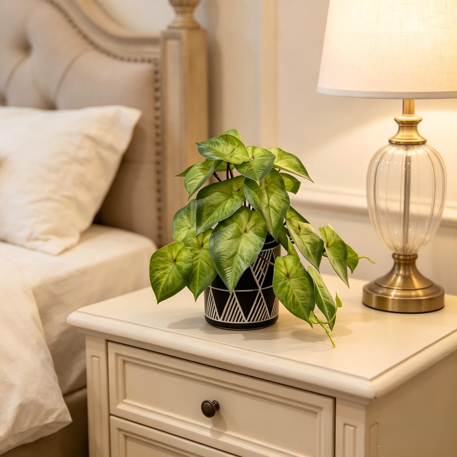 Small Ivy Plant Black White Geo Cement Pot Desk Decor
