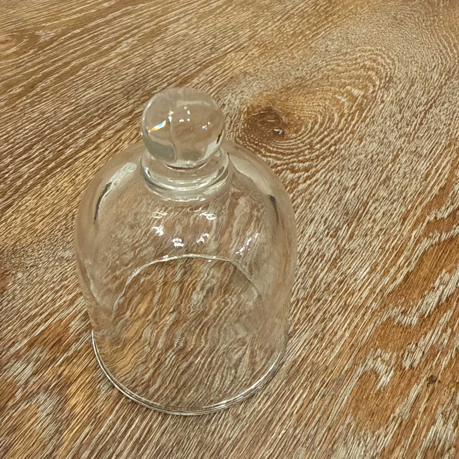 Cloche Dome Glass Décor Set Glass Dome Cloche