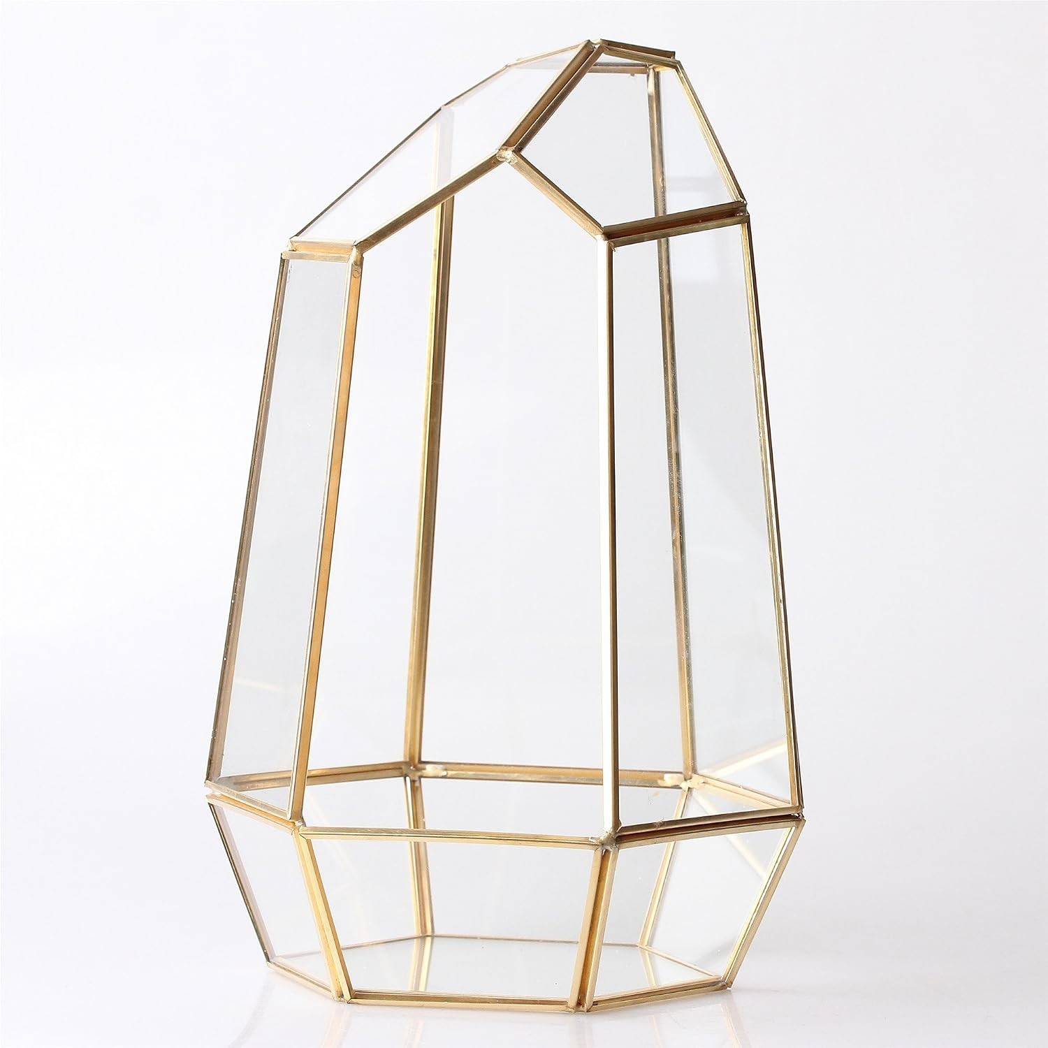 Irregular Gold Glass Terrarium – Perfect Centerpiece for Succulent Displays
