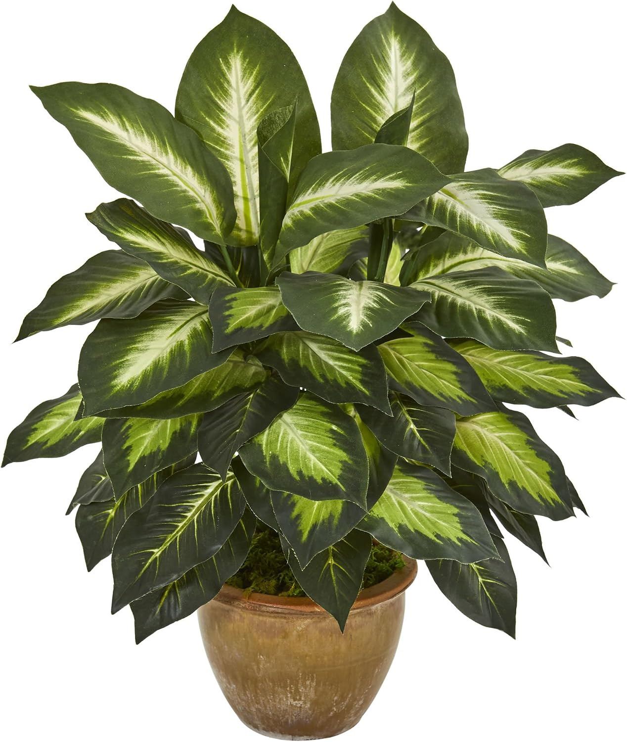 Faux Dieffenbachia Plant in Ceramic Planter – Perfect Indoor Decor
