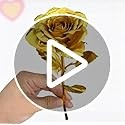 Gold Dipped Rose, Eternal Long Stem Golden Rose | Luxurious Romantic Gift for Wo