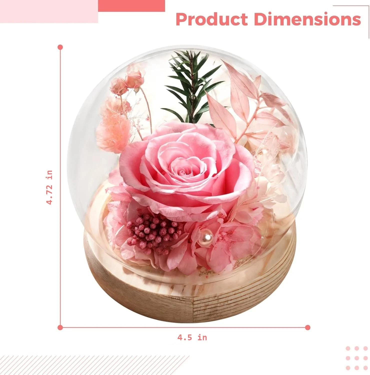Eternal Rose in Glass Dome – Preserved Real Flower, Symbol of Lasting Romance