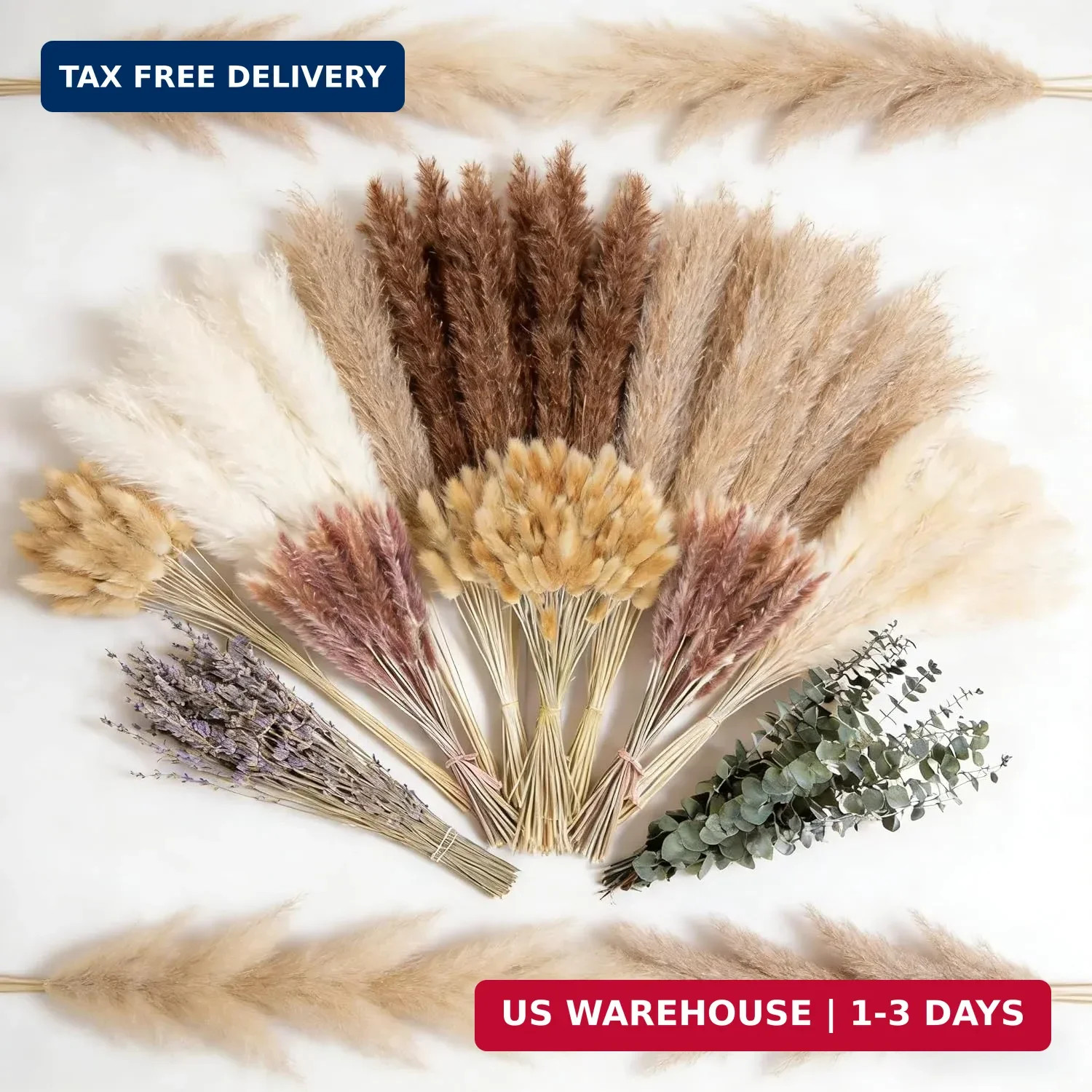 710Pcs Natural Dried Pampas Grass Decor, 9 Types Dried Flowers for Vase, Boho Pa