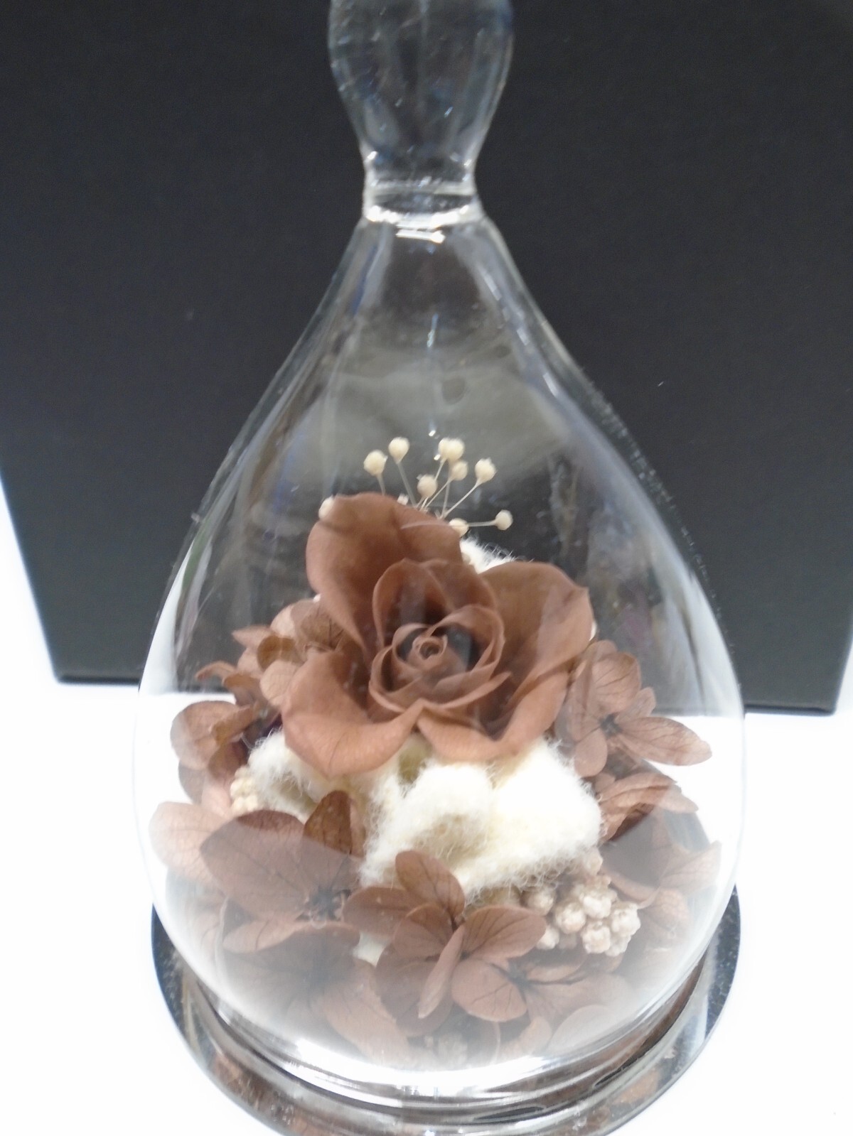 Gemini Girl Eternal Rose in Glass w/ Packaging