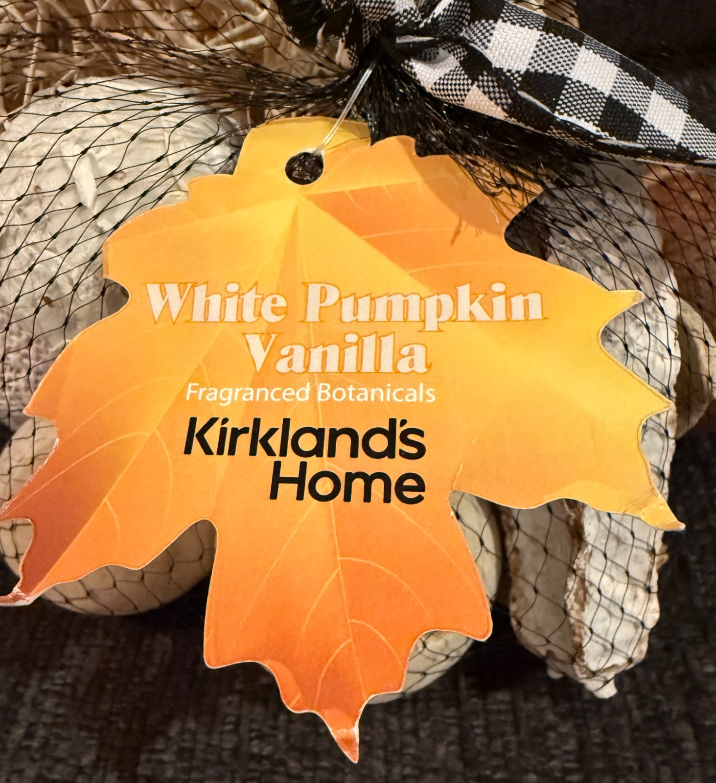 NEW Fall Decor White Pumpkin Vanilla Fragranced Botanicals Kirkland’s Home