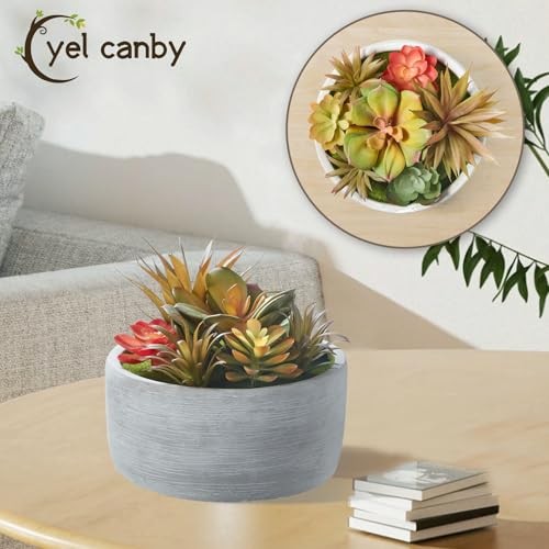 Artificial Succulent Plants in Pots,Fake Succulents with Gray 6inch Grey#1