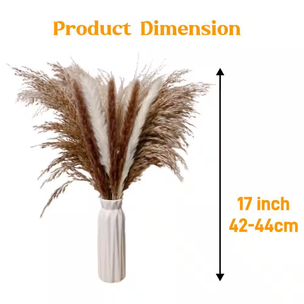 4.02 in 300 Pcs Boho Dried Pampas Grass Bouquet in White Brown Natural Colors Ar