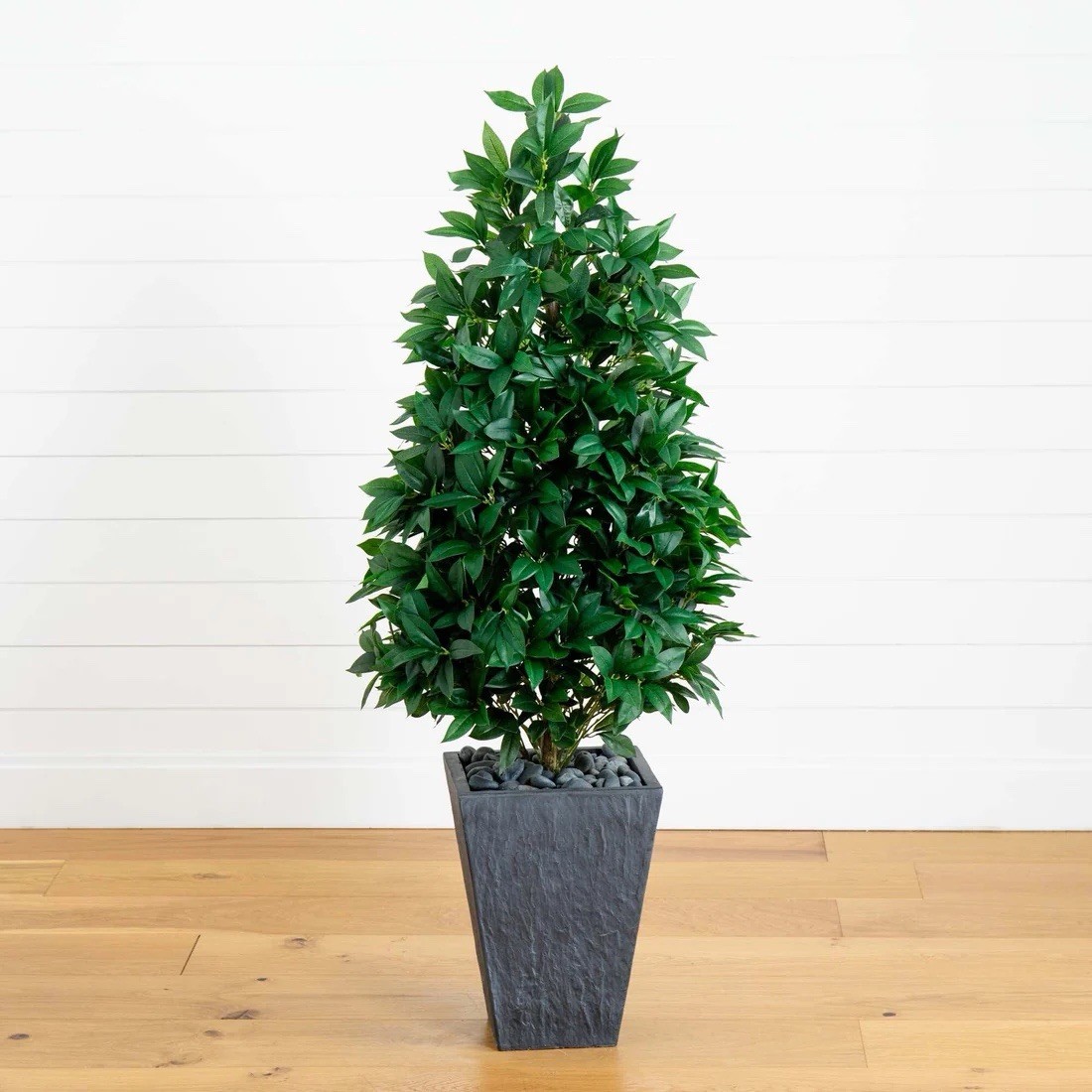 57” UV Bay Leaf Cone Topiary Tree in Slate Planter (Indoor/Outdoor)