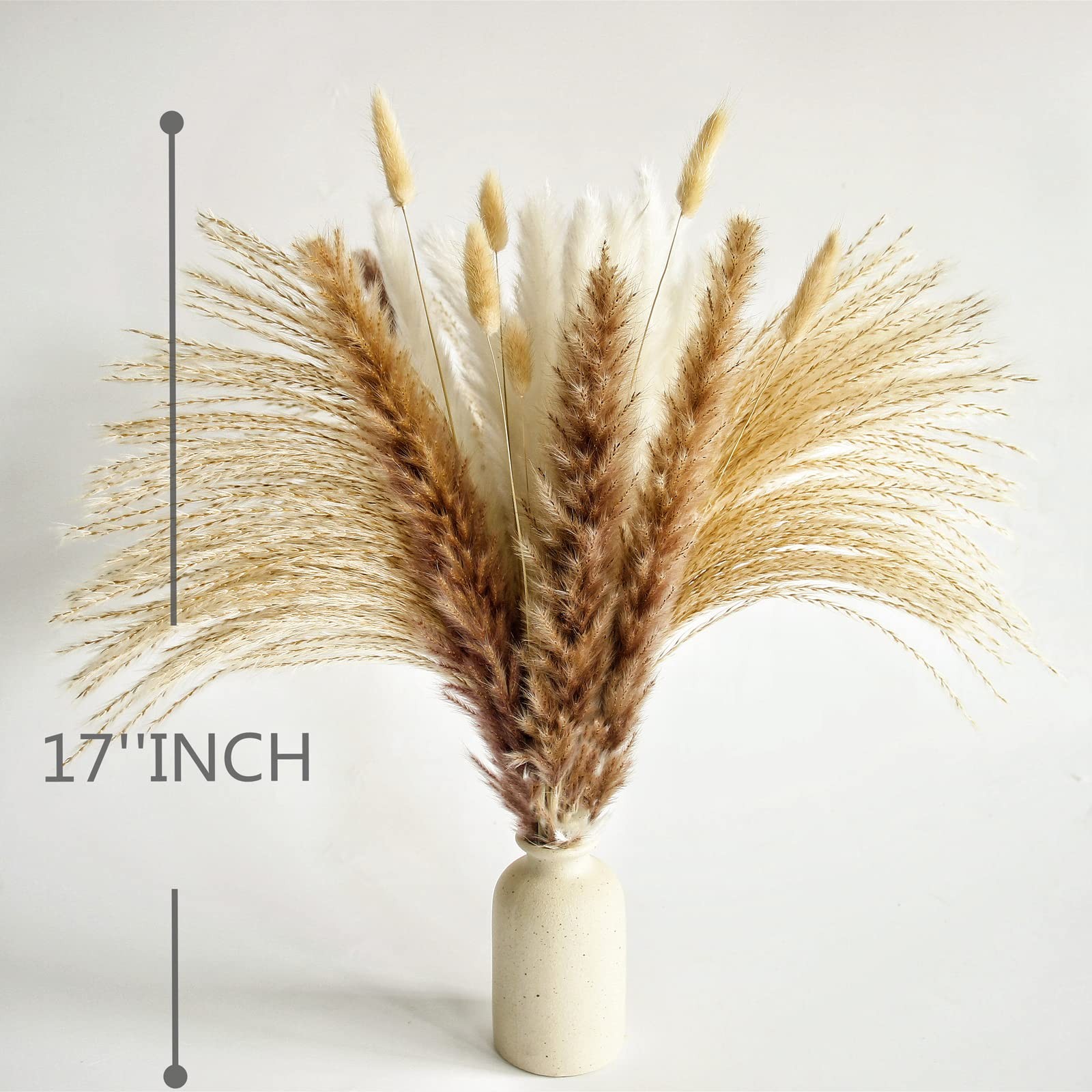 200 PCS Small Boho Pampas Grass, 17″ Naturally Dried Pompas, Pampas Grass Dec…