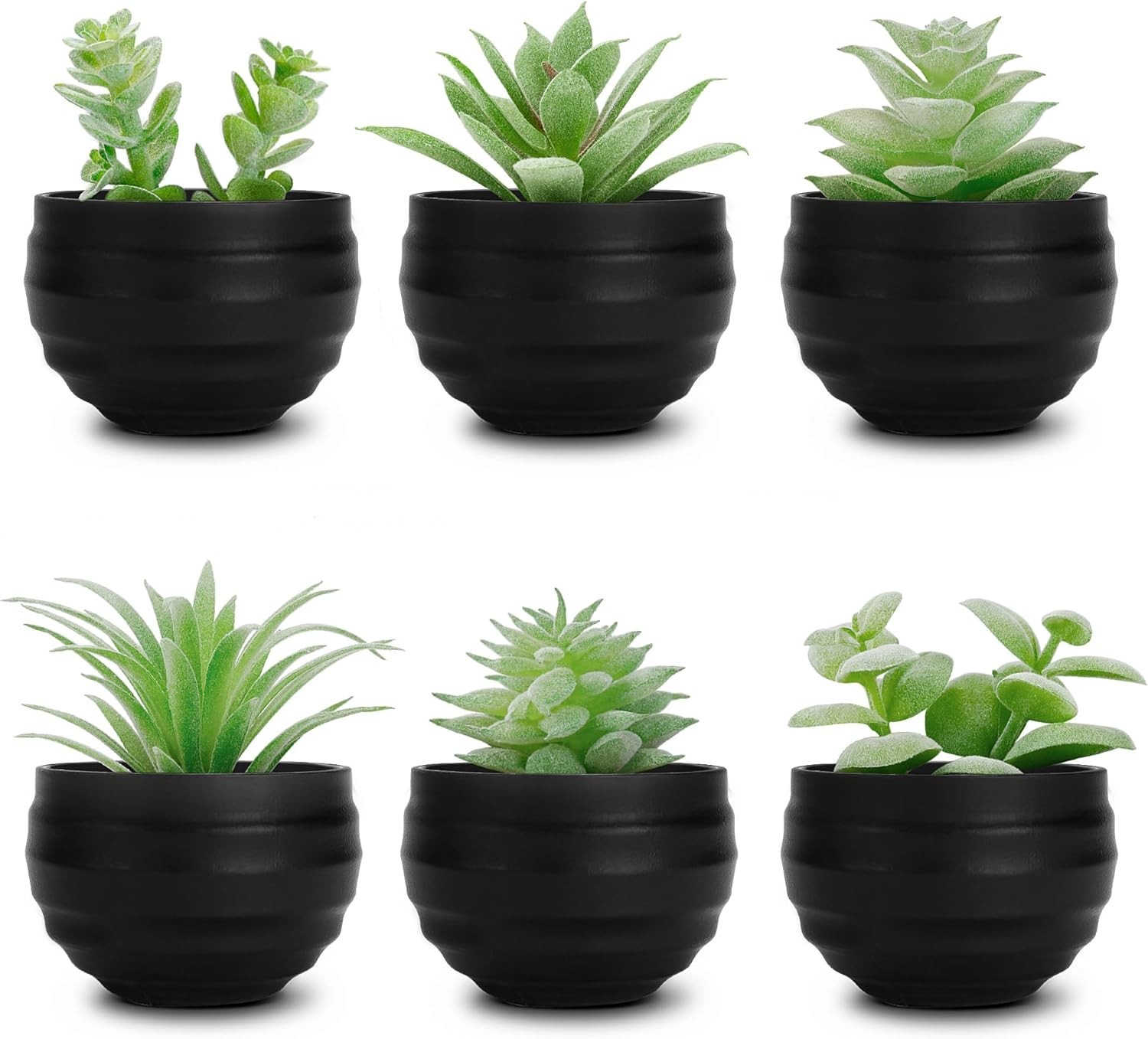 6 Pack Fake Succulents Plants in Black Pots for Halloween Decor | Varied real…